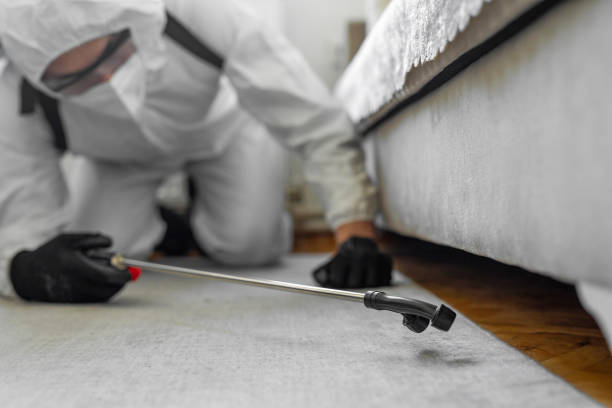 Professional Bed Bug Control technician working in Ford County County, KS